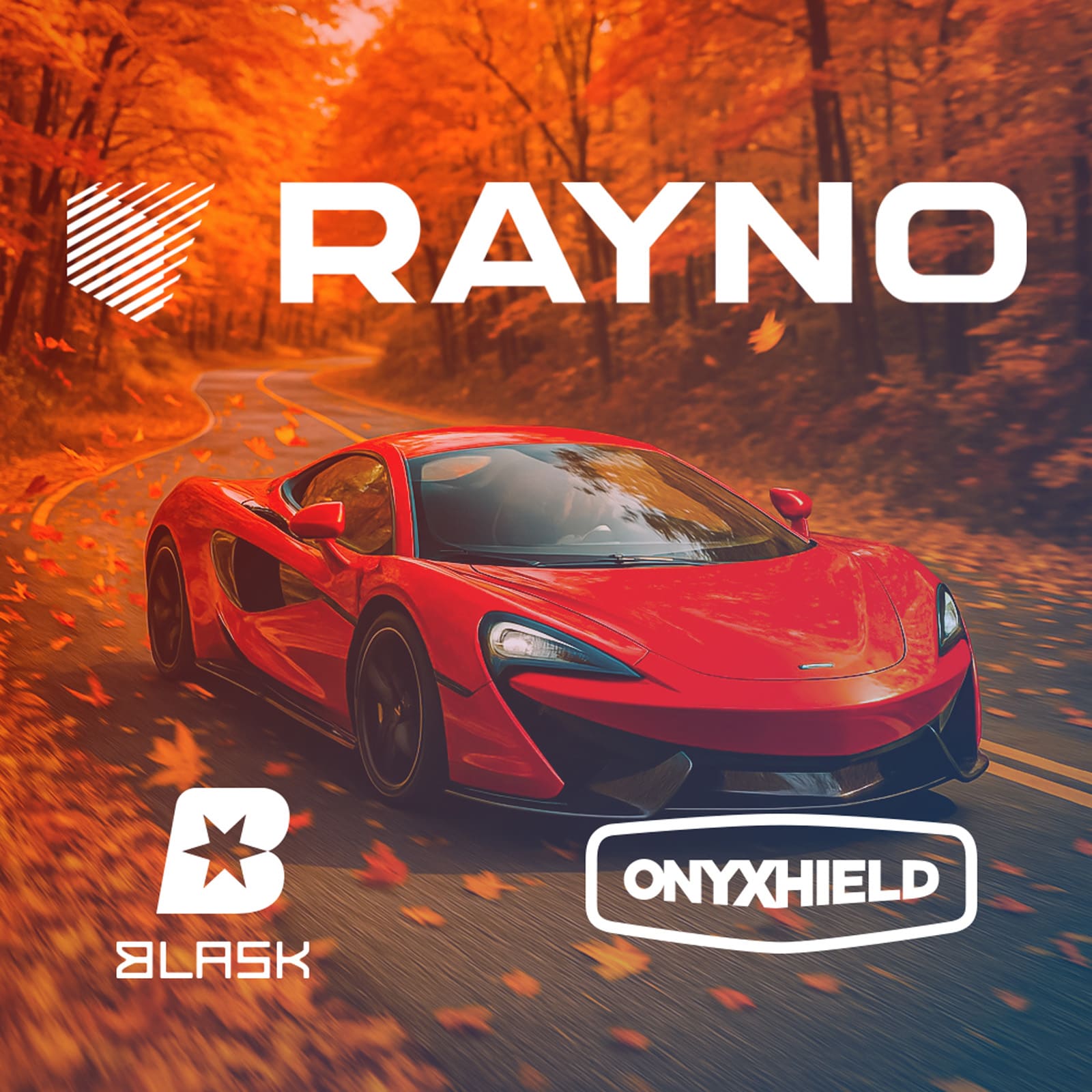 Rayno Social Media Contest